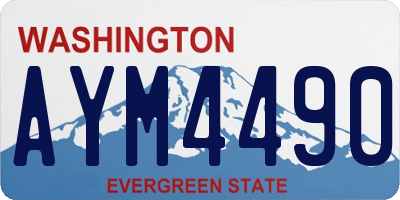 WA license plate AYM4490