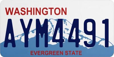 WA license plate AYM4491