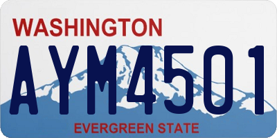 WA license plate AYM4501
