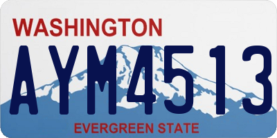 WA license plate AYM4513