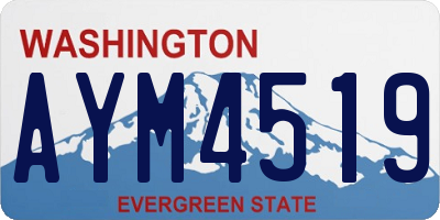 WA license plate AYM4519