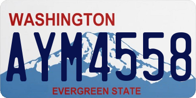 WA license plate AYM4558