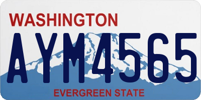 WA license plate AYM4565