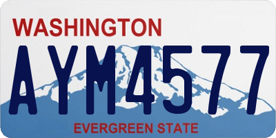 WA license plate AYM4577