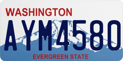 WA license plate AYM4580