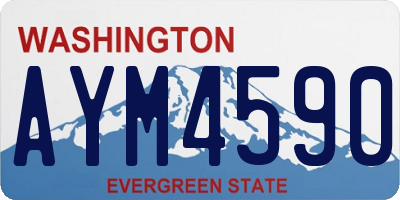 WA license plate AYM4590