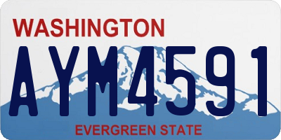 WA license plate AYM4591