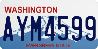 WA license plate AYM4599