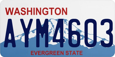 WA license plate AYM4603