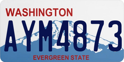 WA license plate AYM4873