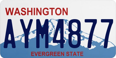 WA license plate AYM4877