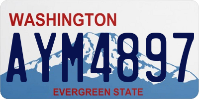 WA license plate AYM4897