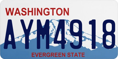 WA license plate AYM4918