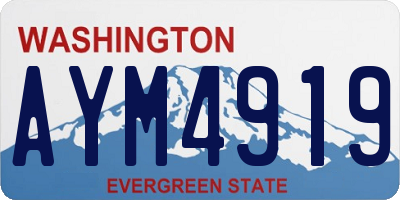 WA license plate AYM4919