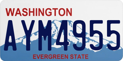 WA license plate AYM4955