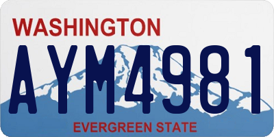 WA license plate AYM4981