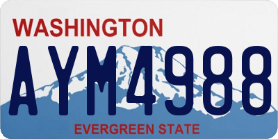 WA license plate AYM4988
