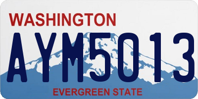 WA license plate AYM5013