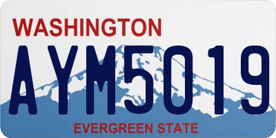 WA license plate AYM5019