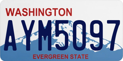 WA license plate AYM5097