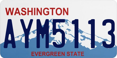 WA license plate AYM5113