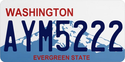 WA license plate AYM5222