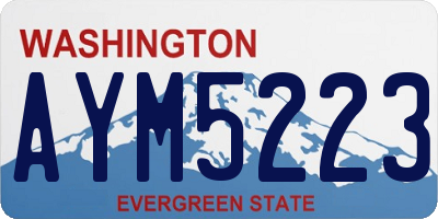 WA license plate AYM5223