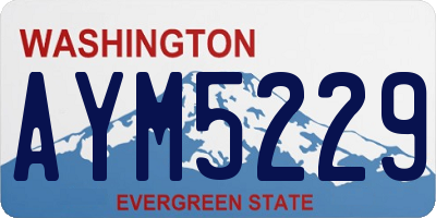 WA license plate AYM5229