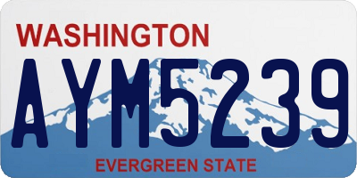 WA license plate AYM5239