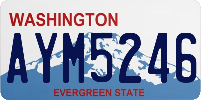 WA license plate AYM5246
