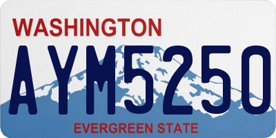WA license plate AYM5250