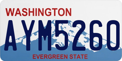 WA license plate AYM5260
