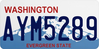 WA license plate AYM5289