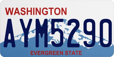 WA license plate AYM5290