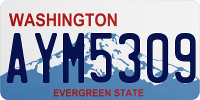 WA license plate AYM5309