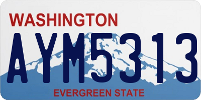 WA license plate AYM5313