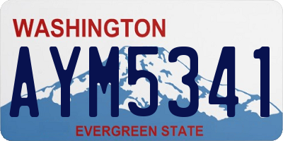 WA license plate AYM5341
