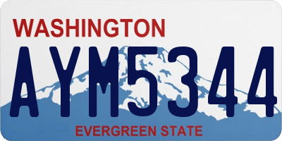 WA license plate AYM5344