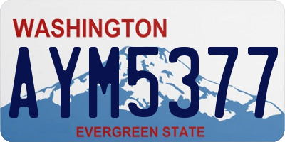 WA license plate AYM5377