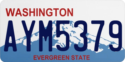 WA license plate AYM5379