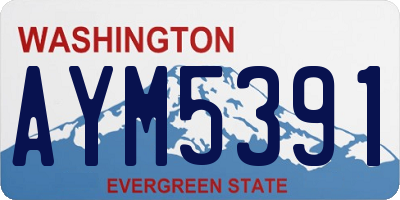 WA license plate AYM5391