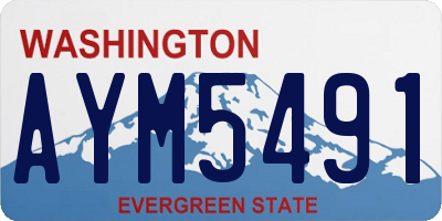 WA license plate AYM5491