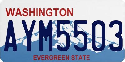 WA license plate AYM5503