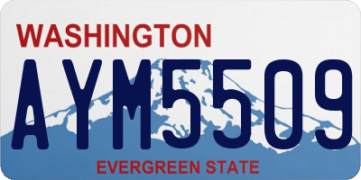WA license plate AYM5509