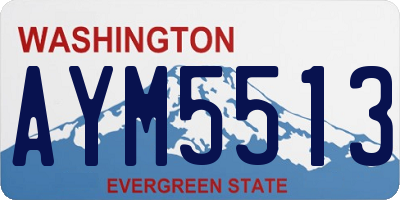WA license plate AYM5513