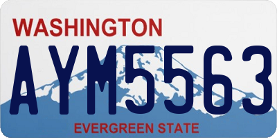 WA license plate AYM5563