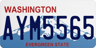 WA license plate AYM5565