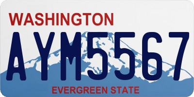 WA license plate AYM5567