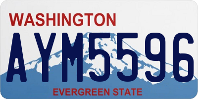 WA license plate AYM5596