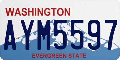 WA license plate AYM5597